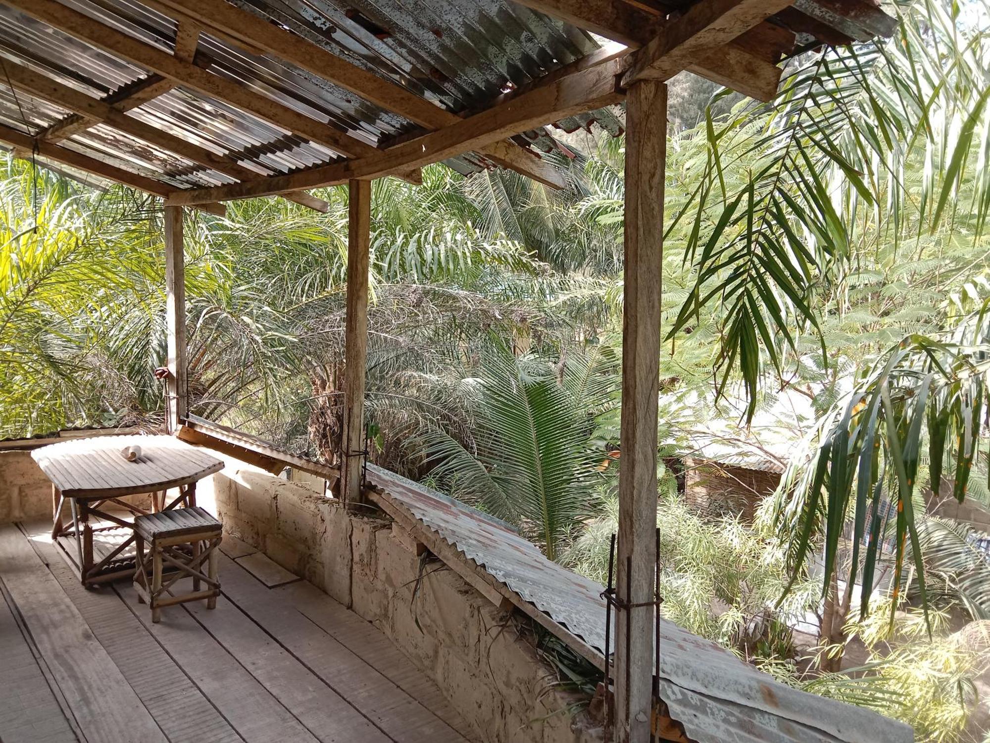 Chez Bethy & Baboulaye Jungle Et Ocean Villa Abémé Eksteriør billede