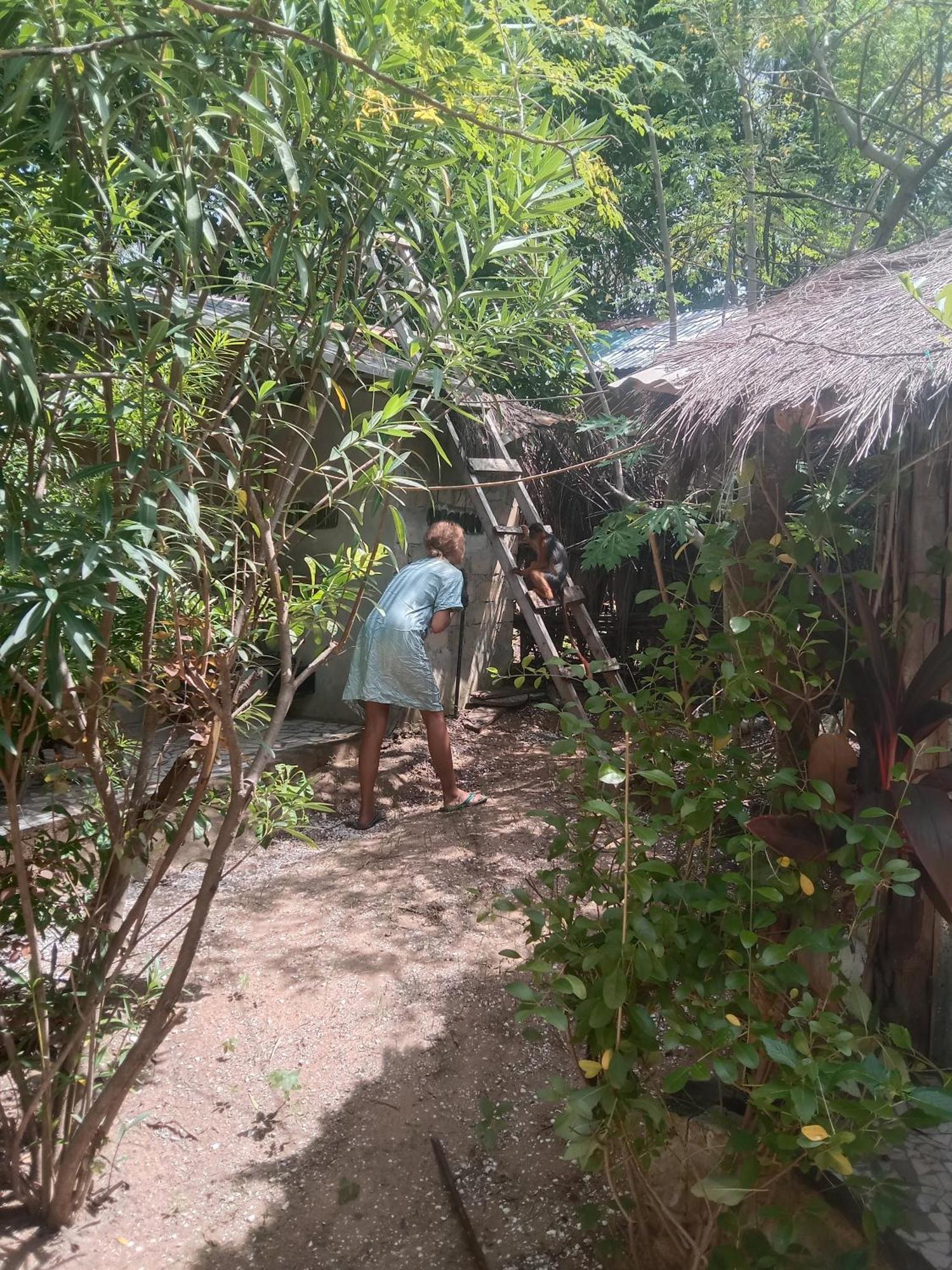 Chez Bethy & Baboulaye Jungle Et Ocean Villa Abémé Eksteriør billede