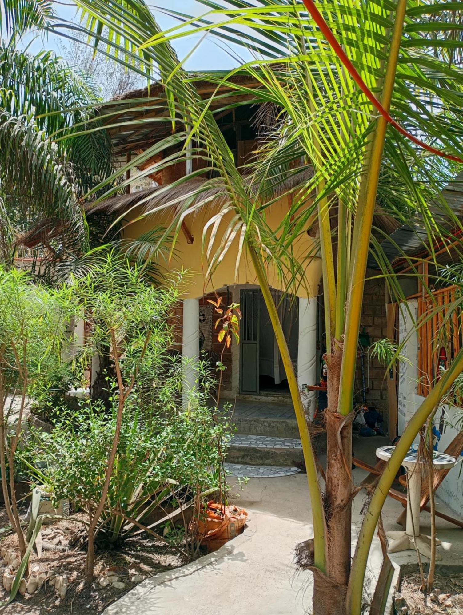 Chez Bethy & Baboulaye Jungle Et Ocean Villa Abémé Eksteriør billede